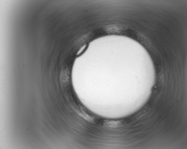 X0000080140081200612302113