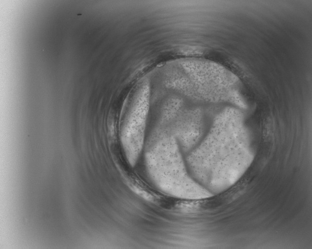 X0000080140084200612302113