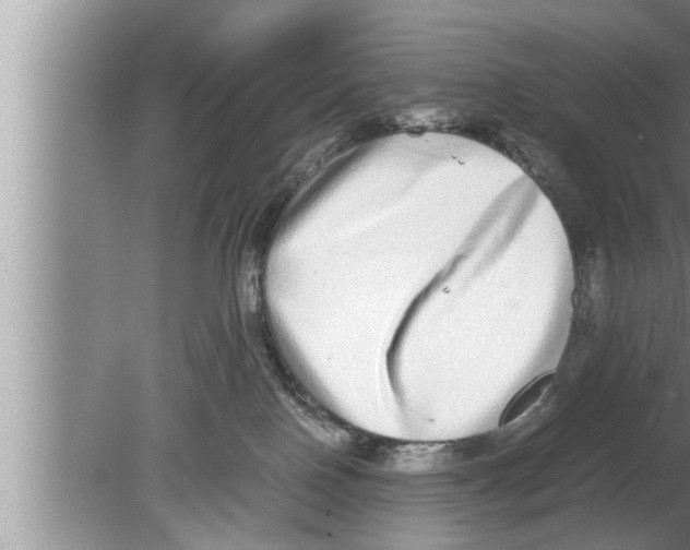 X0000080140090200612302113