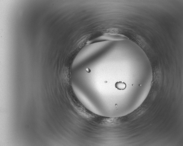 X0000080140092200612302113