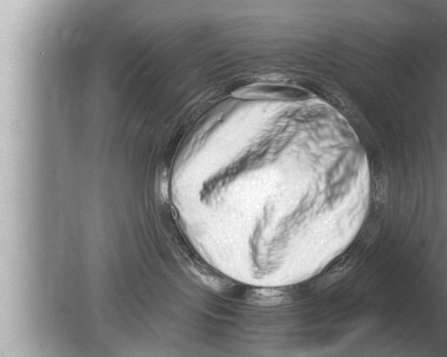 X0000080140095200612302113