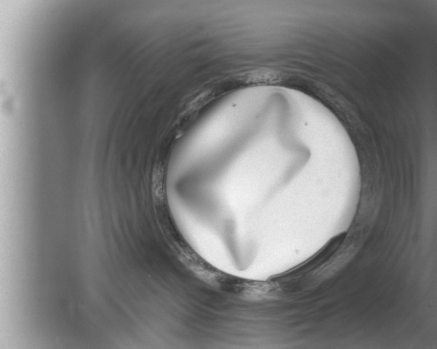 X0000080140096200612302113