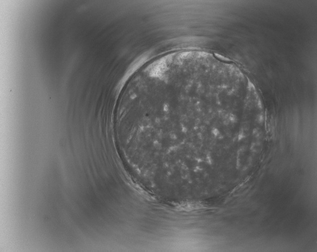 X0000080140099200612302112