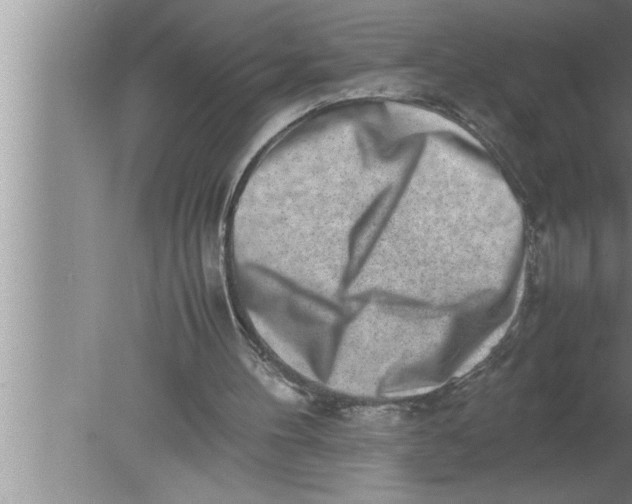 X0000080140100200612302112