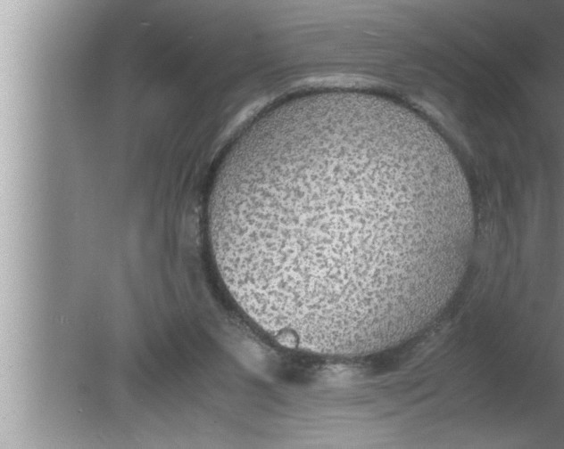 X0000080140111200612302112