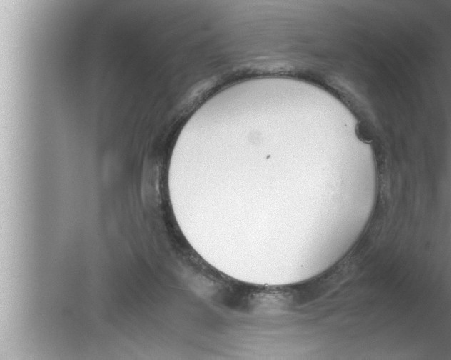 X0000080140115200612302112