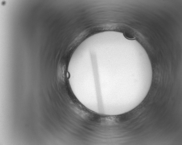 X0000080140118200612302112