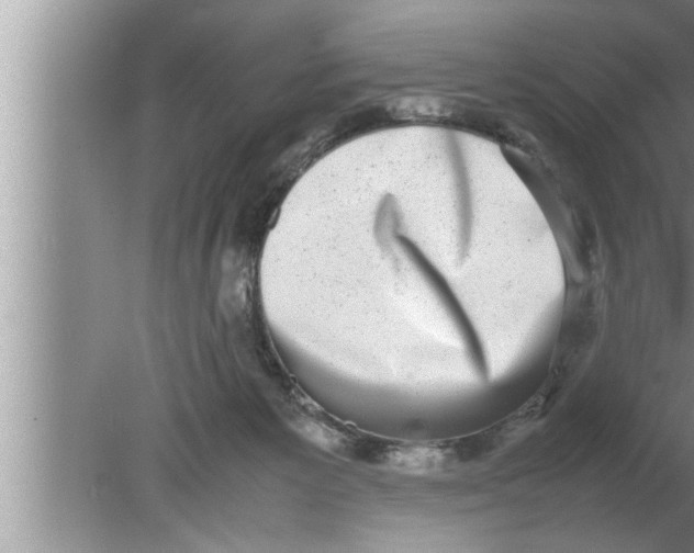 X0000080140125200612302112