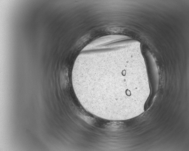 X0000080140128200612302112