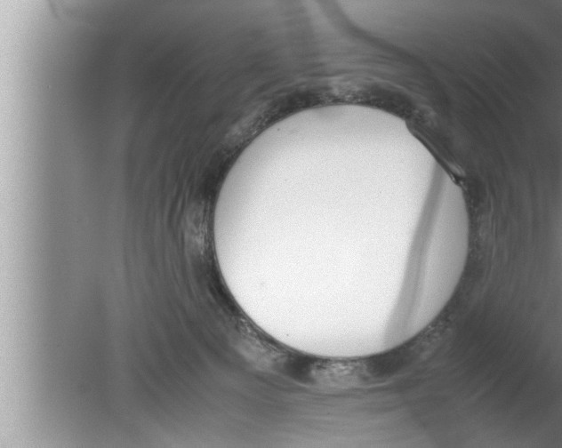 X0000080140129200612302112