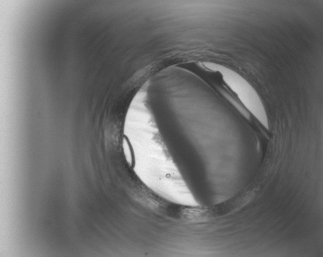 X0000080140139200612302111