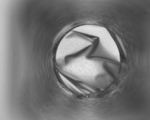 X0000080140197200612302110