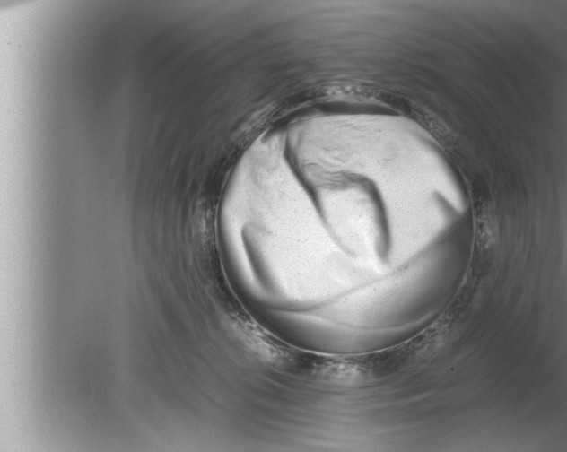 X0000080140276200612302109