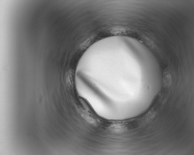 X0000080140280200612302110