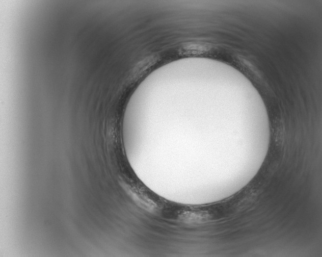 X0000080140455200612302106