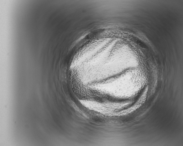 X0000080140585200612302104