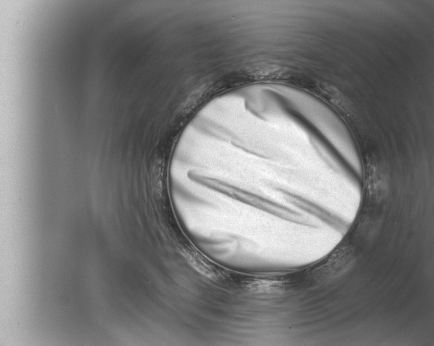 X0000080140664200612302103