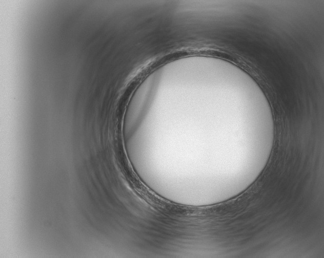 X0000080140732200612302101