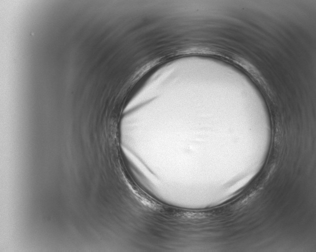 X0000080140849200612302100