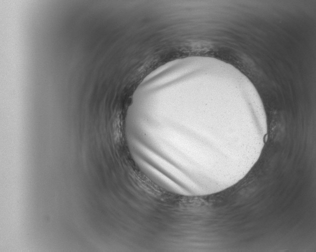 X0000080140866200612302059