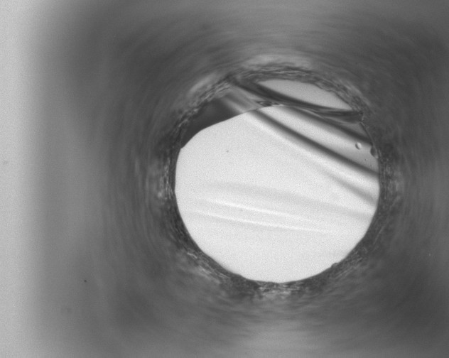 X0000080140965200612302058