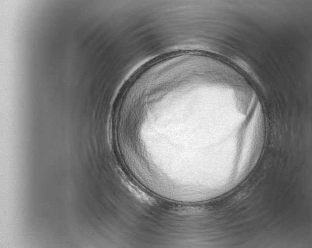 X0000080141076200612302056
