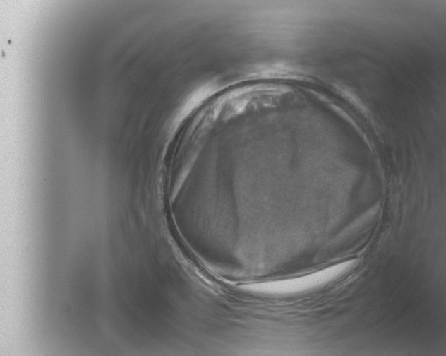 X0000080141463200612302049