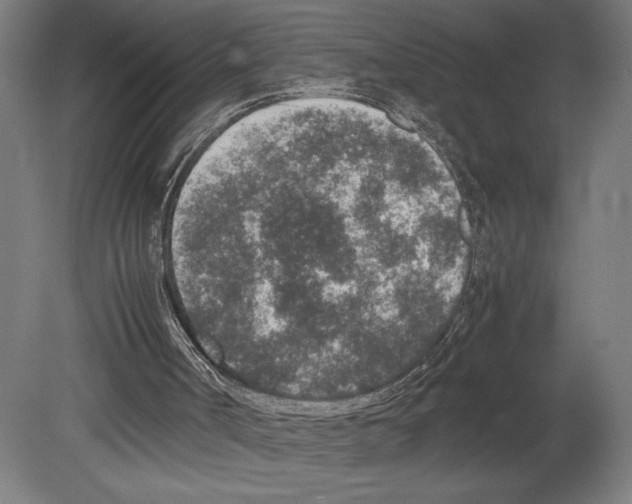 X0000080140002200701051525