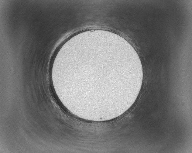 X0000080140008200701051525
