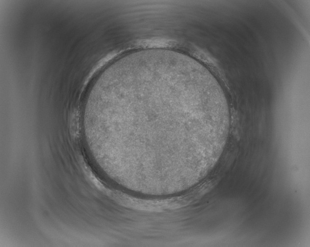 X0000080140012200701051525