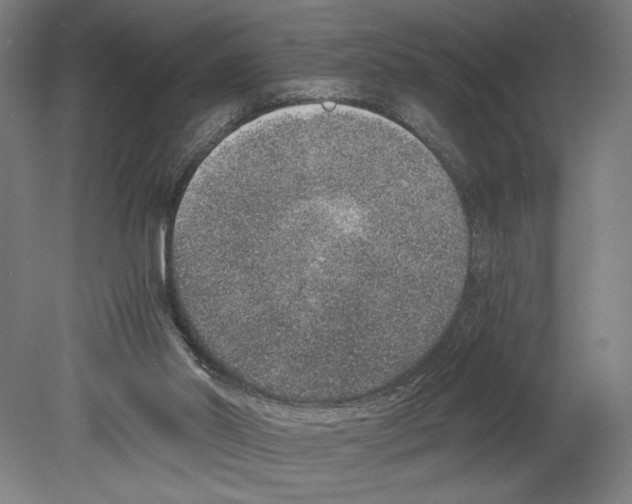 X0000080140014200701051525
