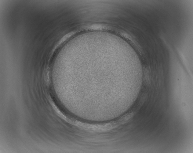 X0000080140016200701051525