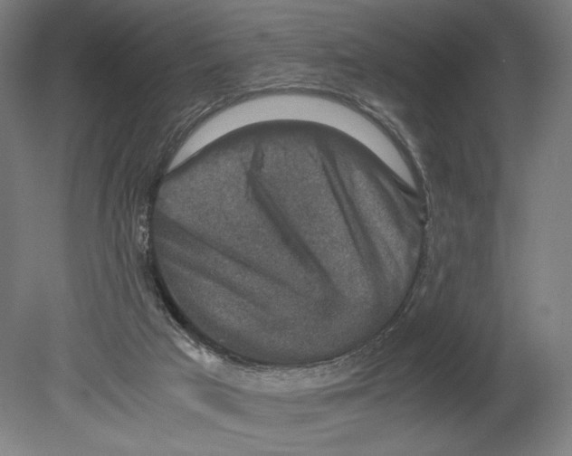 X0000080140017200701051525