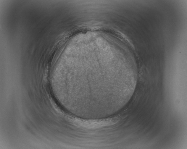 X0000080140018200701051525