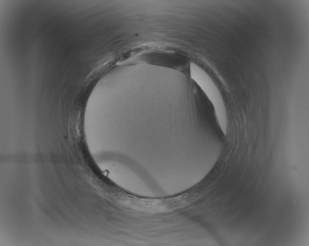 X0000080140023200701051525