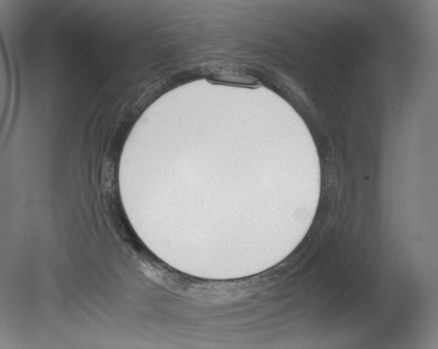 X0000080140025200701051525