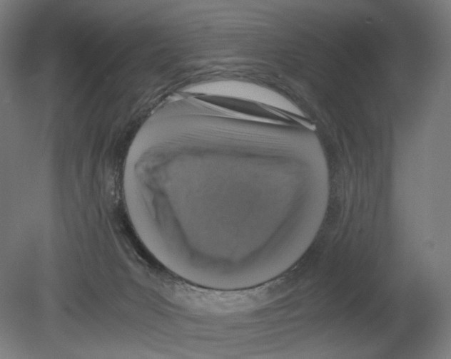 X0000080140031200701051525