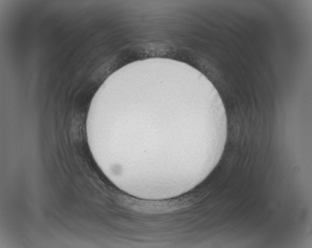 X0000080140034200701051525