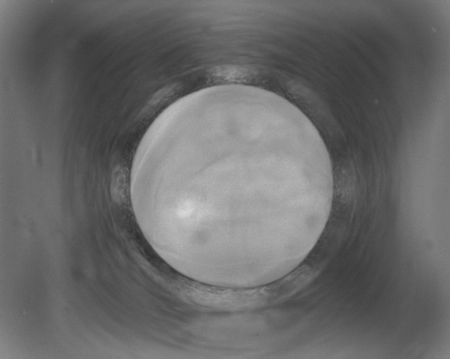 X0000080140036200701051525