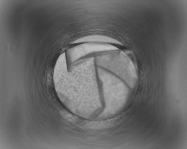 X0000080140037200701051525