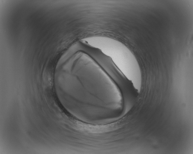 X0000080140039200701051525