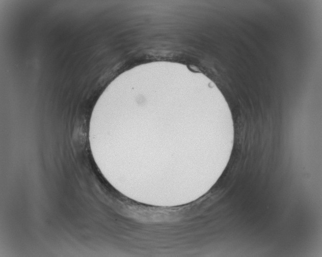 X0000080140040200701051525