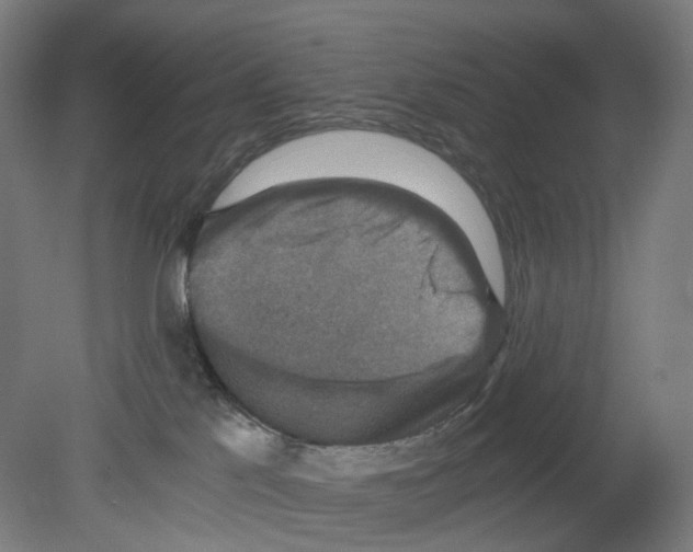 X0000080140041200701051525