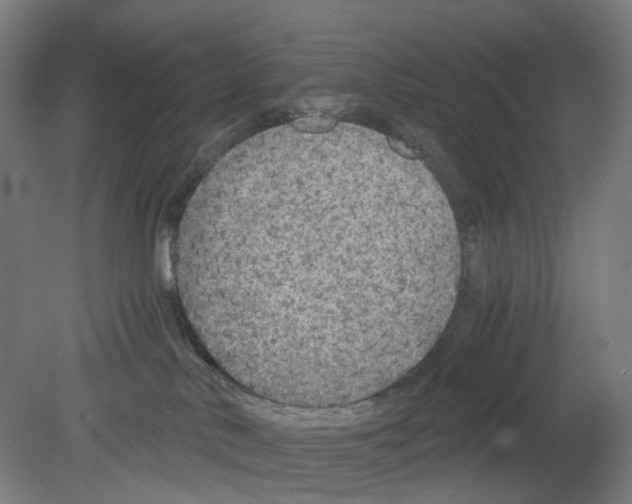 X0000080140042200701051525