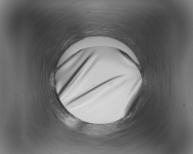 X0000080140045200701051525