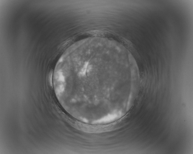 X0000080140047200701051525