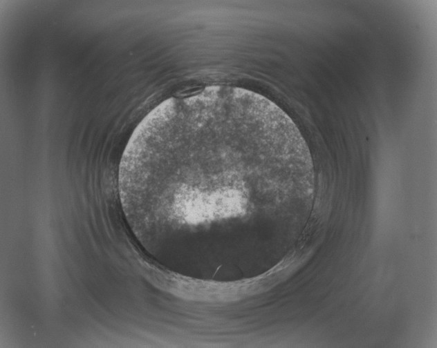X0000080140048200701051525