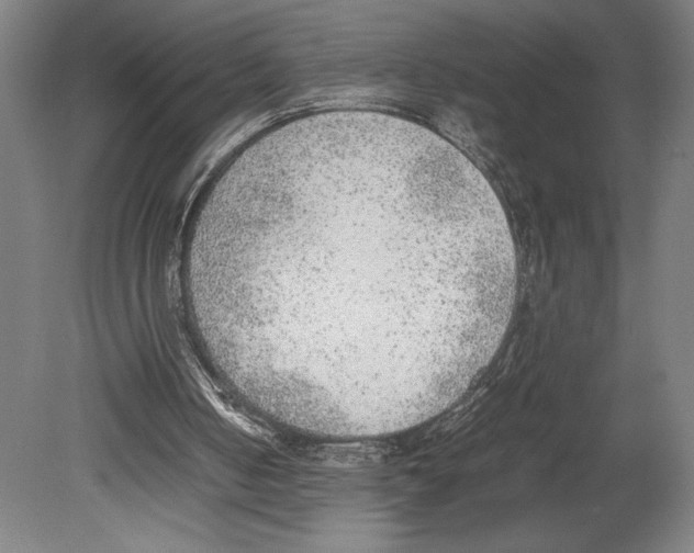X0000080140050200701051524