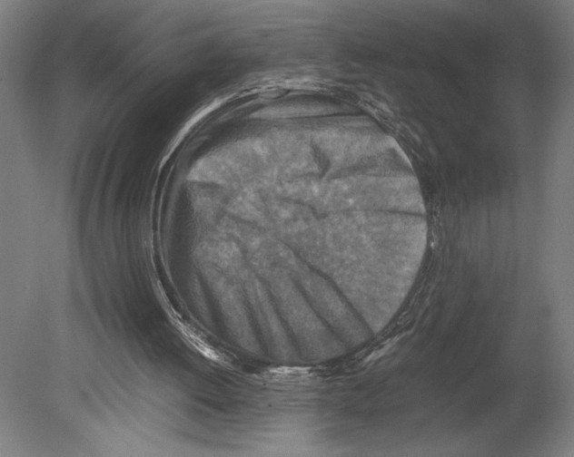 X0000080140052200701051524