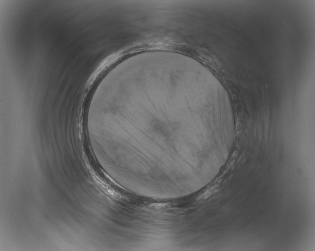 X0000080140054200701051524